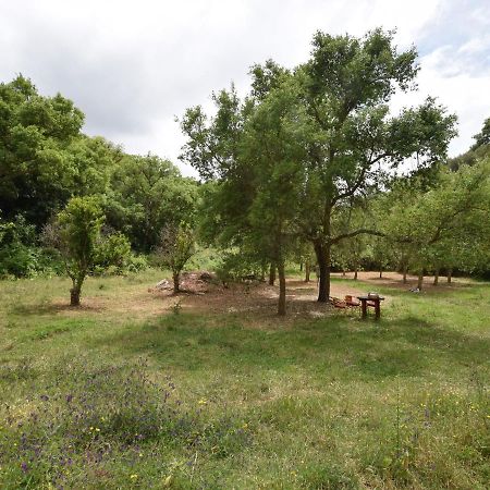 Quiet And Cottage In The Estate Casas Da Cerca Troviscais Exterior photo
